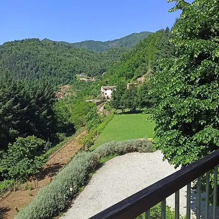 Il Bosco Di Campo Marzano Sunlight *