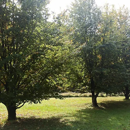 Il Bosco Di Campo Marzano Sunlight Borzonasca