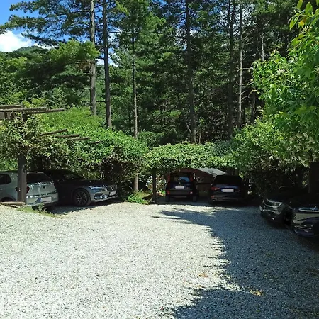Il Bosco Di Campo Marzano Sunlight