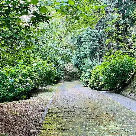 Il Bosco Di Campo Marzano Sunlight شقة Borzonasca