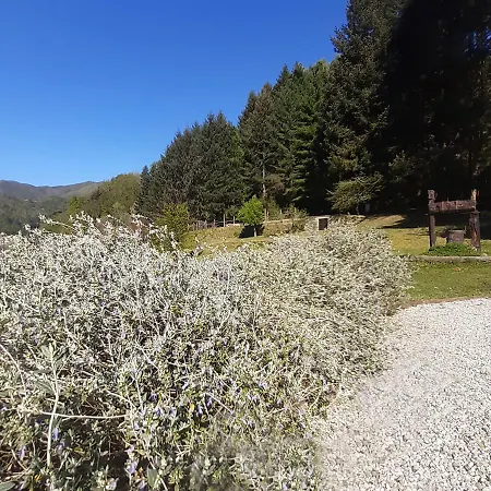Il Bosco Di Campo Marzano Sunlight