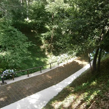 Appartement Il Bosco Di Campo Marzano Sunlight Borzonasca