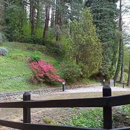 Il Bosco Di Campo Marzano Sunlight 公寓 Borzonasca