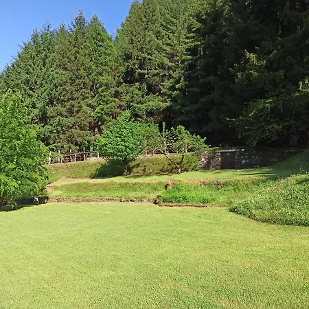 Il Bosco Di Campo Marzano Sunlight * Borzonasca