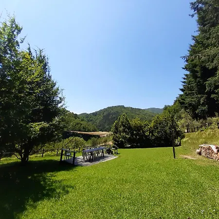 Il Bosco Di Campo Marzano Sunlight Borzonasca