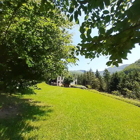Il Bosco Di Campo Marzano Sunlight * Borzonasca