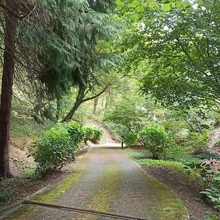 Il Bosco Di Campo Marzano Sunlight