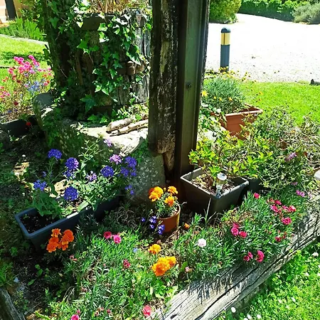 Il Bosco Di Campo Marzano Sunlight