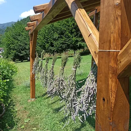 Il Bosco Di Campo Marzano Sunlight Apartament Borzonasca
