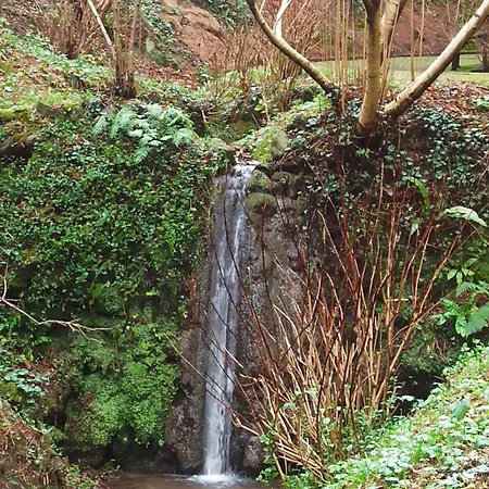 Il Bosco Di Campo Marzano Sunlight *