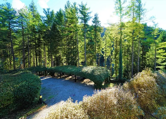 Il Bosco Di Campo Marzano Sunlight *