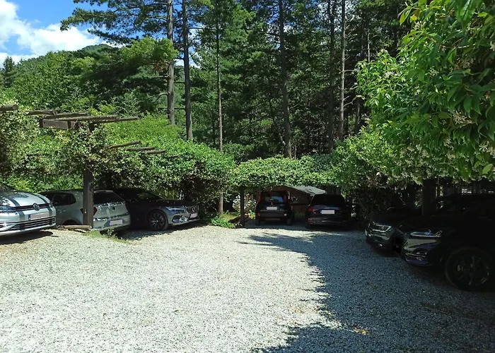 Il Bosco Di Campo Marzano Sunlight