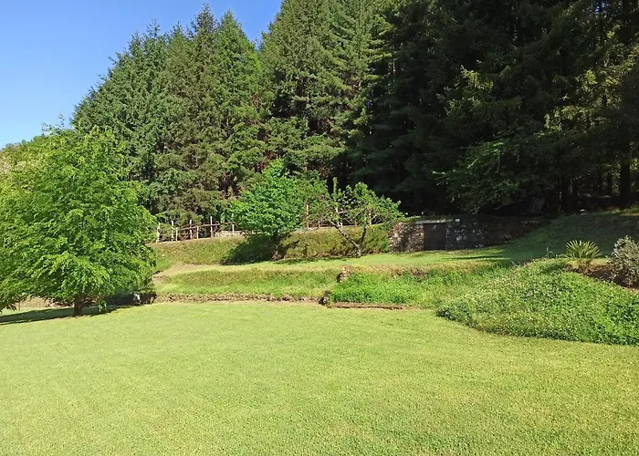 Il Bosco Di Campo Marzano Sunlight * Borzonasca